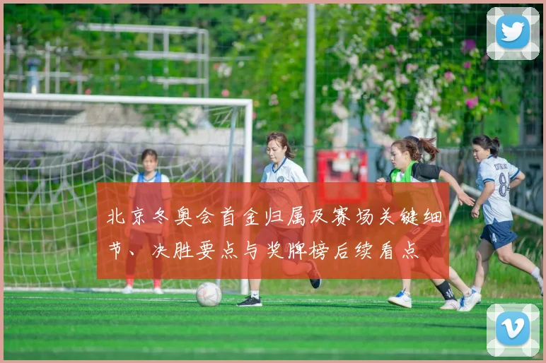 北京冬奥会首金归属及赛场关键细节、决胜要点与奖牌榜后续看点