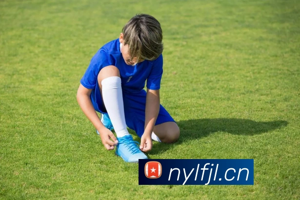 半岛网页版官网品牌故事